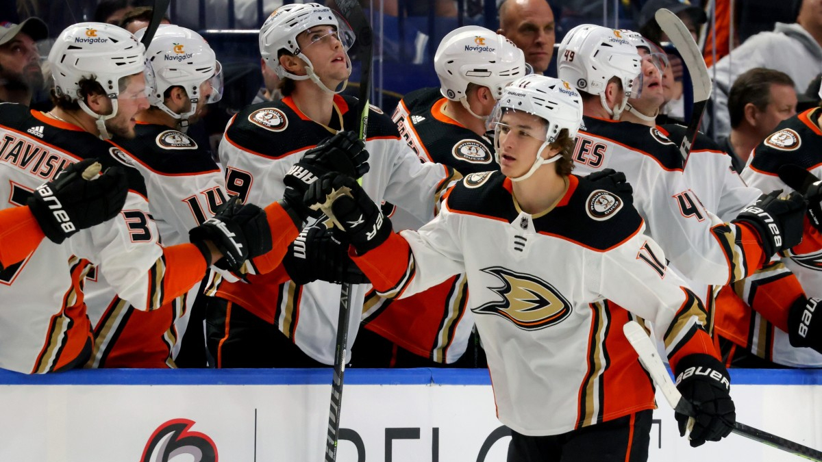 Anaheim Ducks Playoff & Stanley Cup Odds